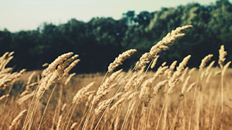 随时帮您忙的网页端ddos