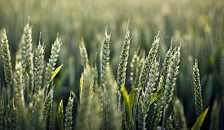 DDOS在线攻击平台